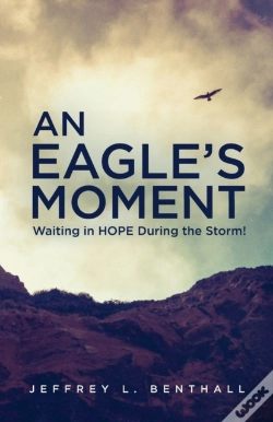 Capa do artigo An Eagle'S Moment