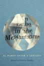 An Echo In The Mountains - Preview