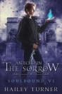 An Echo In The Sorrow - Preview
