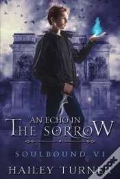 Capa do artigo An Echo In The Sorrow