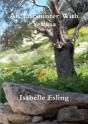 An Encounter With Yeshua - Preview