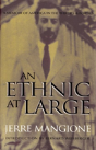 An Ethnic At Large - Preview