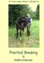 An Everyday Rider'S Guide To Practical Breaking - Preview