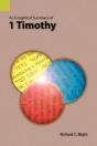 An Exegetical Summary Of 1 Timothy - Preview