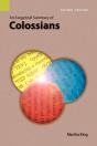 An Exegetical Summary Of Colossians, 2nd Edition - Preview