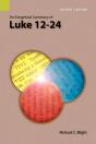 An Exegetical Summary Of Luke 12-24, 2nd Edition - Preview