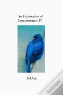 An Exploration Of Consciousness Iv
