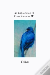 An Exploration Of Consciousness Iv