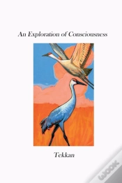 Capa do artigo An Exploration Of Consciousness V