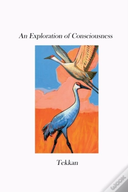 Capa do artigo An Exploration Of Consciousness V