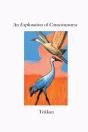 An Exploration Of Consciousness V - Preview