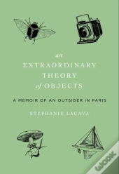 An Extraordinary Theory Of Objects
