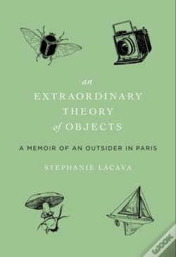 Capa do artigo An Extraordinary Theory Of Objects