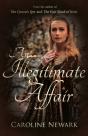 An Illegitimate Affair - Preview