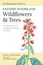 An Illustrated Guide To Eastern Woodland Wildflowers And Trees - Preview