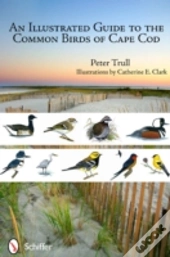 An Illustrated Guide To The Common Birds Of Cape Cod
