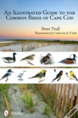 Capa do artigo An Illustrated Guide To The Common Birds Of Cape Cod
