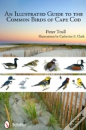 Capa do artigo An Illustrated Guide To The Common Birds Of Cape Cod