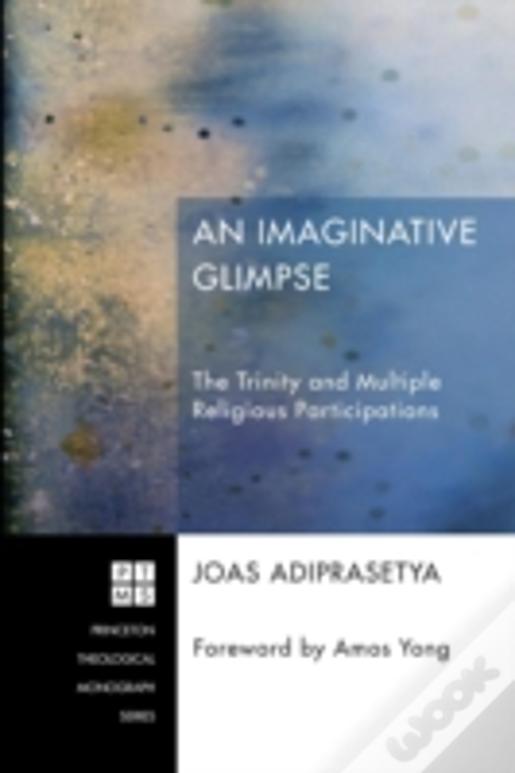 An Imaginative Glimpse: The Trinity And Multiple Religious Participations