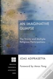 An Imaginative Glimpse: The Trinity And Multiple Religious Participations