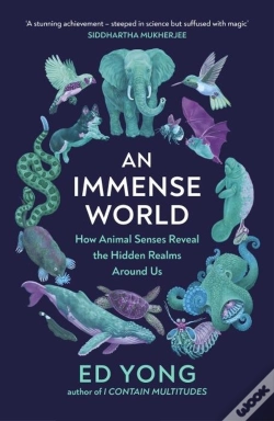 Capa do artigo An Immense World