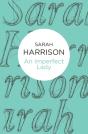 An Imperfect Lady - Preview