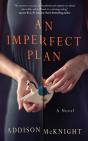 An Imperfect Plan - Preview