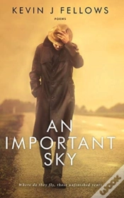 Capa do artigo An Important Sky