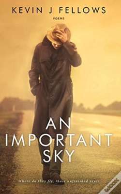 Capa do artigo An Important Sky