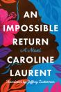 An Impossible Return - Preview