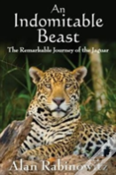 An Indomitable Beast