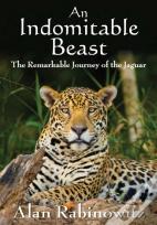 An Indomitable Beast