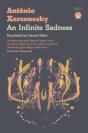 An Infinite Sadness - Preview