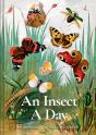 An Insect A Day - Preview