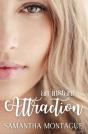 An Instant Attraction - Preview