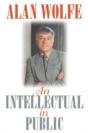 An Intellectual In Public - Preview