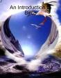 An Introduction To Birds - Preview