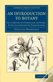 Capa do artigo An Introduction To Botany