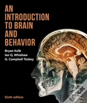 An Introduction To Brain And Behavior