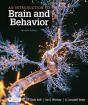 An Introduction To Brain And Behavior - Preview