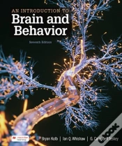Capa do artigo An Introduction To Brain And Behavior