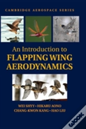 An Introduction To Flapping Wing Aerodynamics