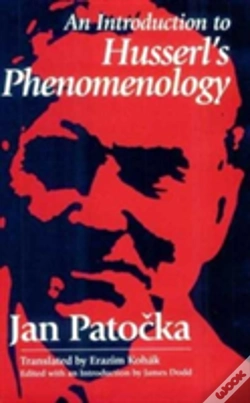 Capa do artigo An Introduction To Husserl'S Phenomenology