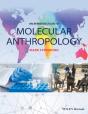An Introduction To Molecular Anthropology - Preview