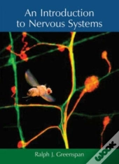 An Introduction To Nervous Systems