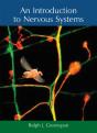 An Introduction To Nervous Systems - Preview