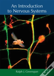 Capa do artigo An Introduction To Nervous Systems