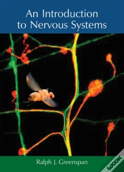 Capa do artigo An Introduction To Nervous Systems