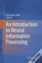 An Introduction To Neural Information Processing