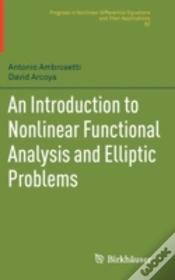 Capa do artigo An Introduction To Nonlinear Functional Analysis And Elliptic Problems